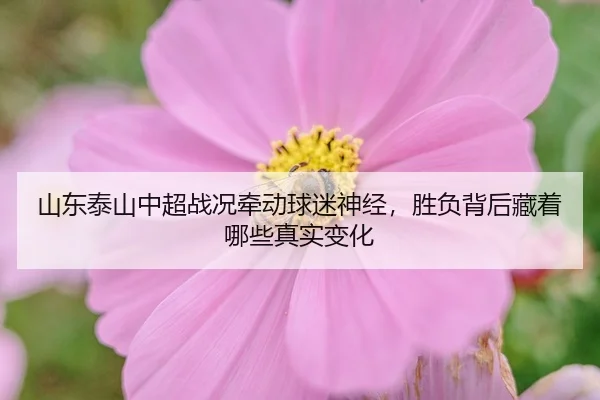 img_1780367868690_387_2_585.jpg